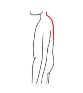 Image for choice number 4