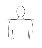 Image for choice number 1