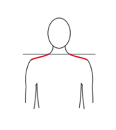 Image for choice number 2